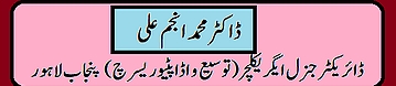 BeautyPlus 20200807103319756 save